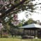 公園も静か