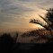 砂漠の夕日