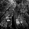 7E8441B0-37F1-487B-90AD-E06B5516C774