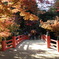 安芸・宮島の「紅葉谷公園内」紅葉橋