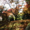 錦帯橋傍の紅葉谷公園