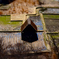 農作業小屋