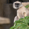 IMG_20200310_173916