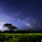 COSMOS