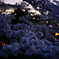 夜