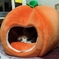 くっそぉ・・・
