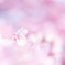 23B5D0FB-D2CB-4D46-8412-623882B4FF92