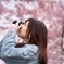 河津桜
