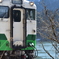 TADAMI LINE