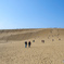 鳥取砂丘．1 - 馬の背