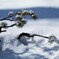春雪