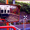 サマーTrainウォーズ
