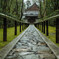 高桐院「雨」