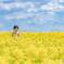 菜の花