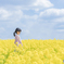 菜の花畑