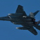 2013岐阜基地航空祭F-15