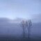 blue mist