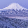 降雪の朝