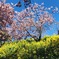 IMG_20200306_195129_980