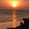 夕陽