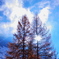 morning air