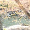 春の過ごし方