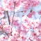 春が来た