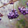 DSCN6795