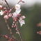 Tamron 28-50mm F3.5-4.5 07A 