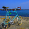 サイクリング日和