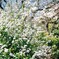 公園散策05