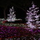hikari no niwa