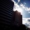 A certain sunlight...  #11
