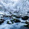 Spring snow