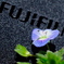 フジカラーで写そう～♪