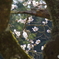 桜2020-3