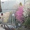 朝靄の駅