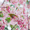 桜の中でかくれんぼ