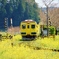 新田野駅出発！