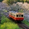 小湊鉄道飯給駅プチ俯瞰！