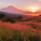 富士夕景