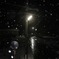 夜更けの雪