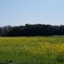 20200324_105010