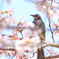 初めての野鳥？