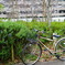 近所の公園02