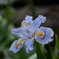 D7K_4957R