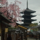 八坂