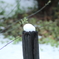 残雪2