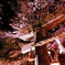 武雄神社５