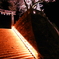 武雄神社６